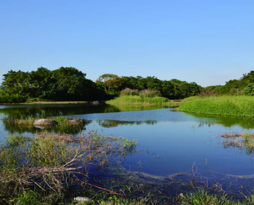 1024x768_attractions-image-skak0so3fu-5jbepkefbfq