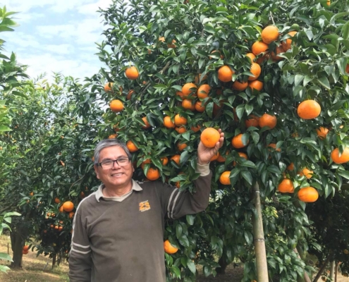 37-大山背休閒農業區1